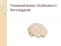 Презентація на тему «Головний мозок. Особливості його відділів»