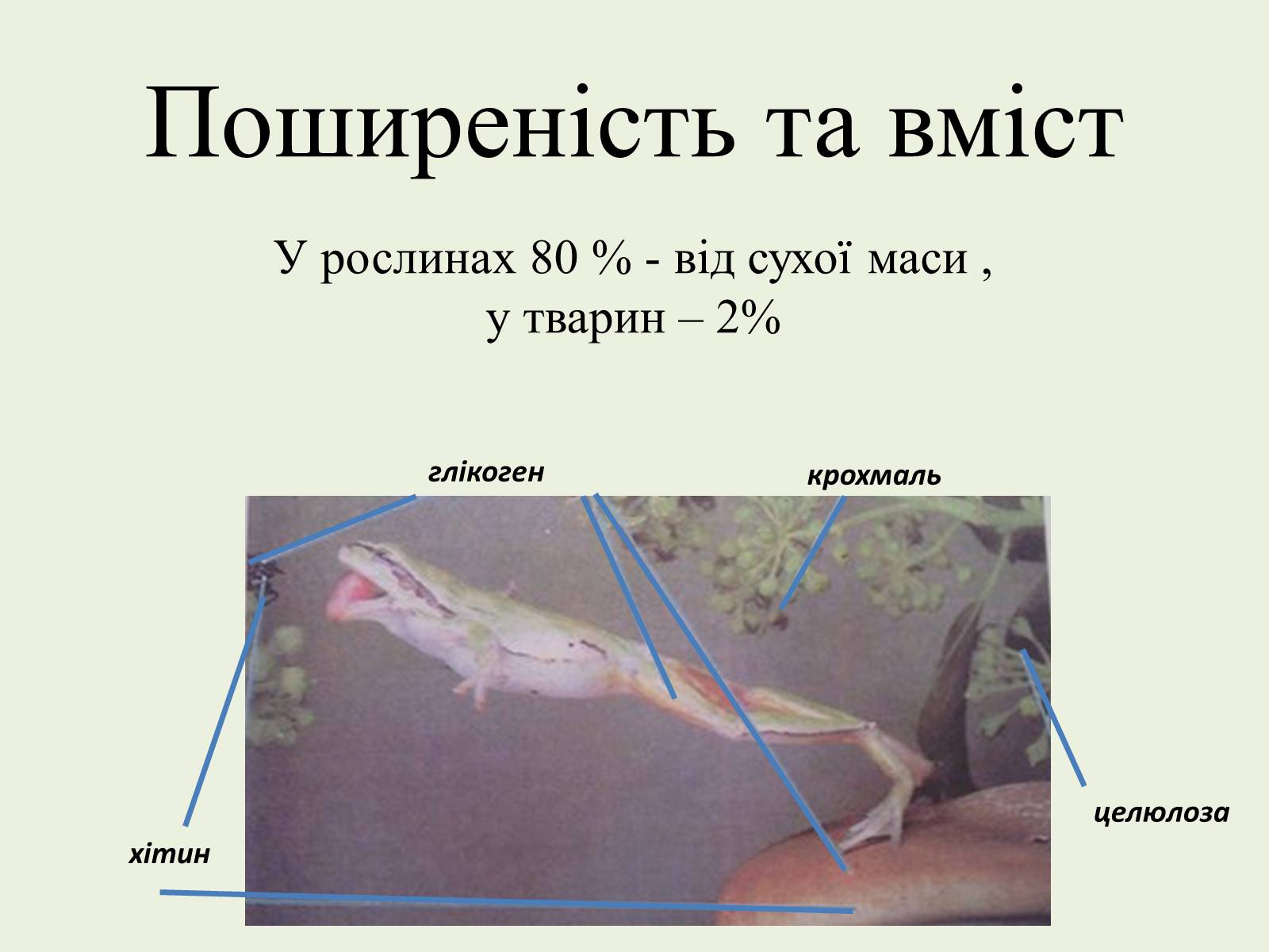 Презентація на тему «Вуглеводи як компоненти їжі, їх роль у житті людини» (варіант 22) - Слайд #3