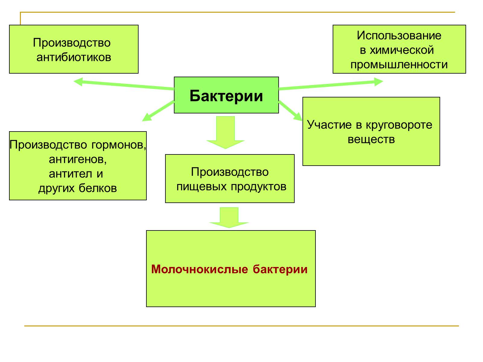 Бактерии использующие. Использование бактерий в производстве. Использование микроорганизмов в производстве. Использование микроорганизмов в химической промышленности. Применение бактерий в производстве.