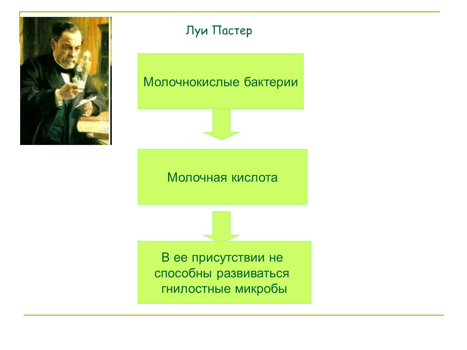 Презентація на тему «Молочнокислые бактерии» - Слайд #4