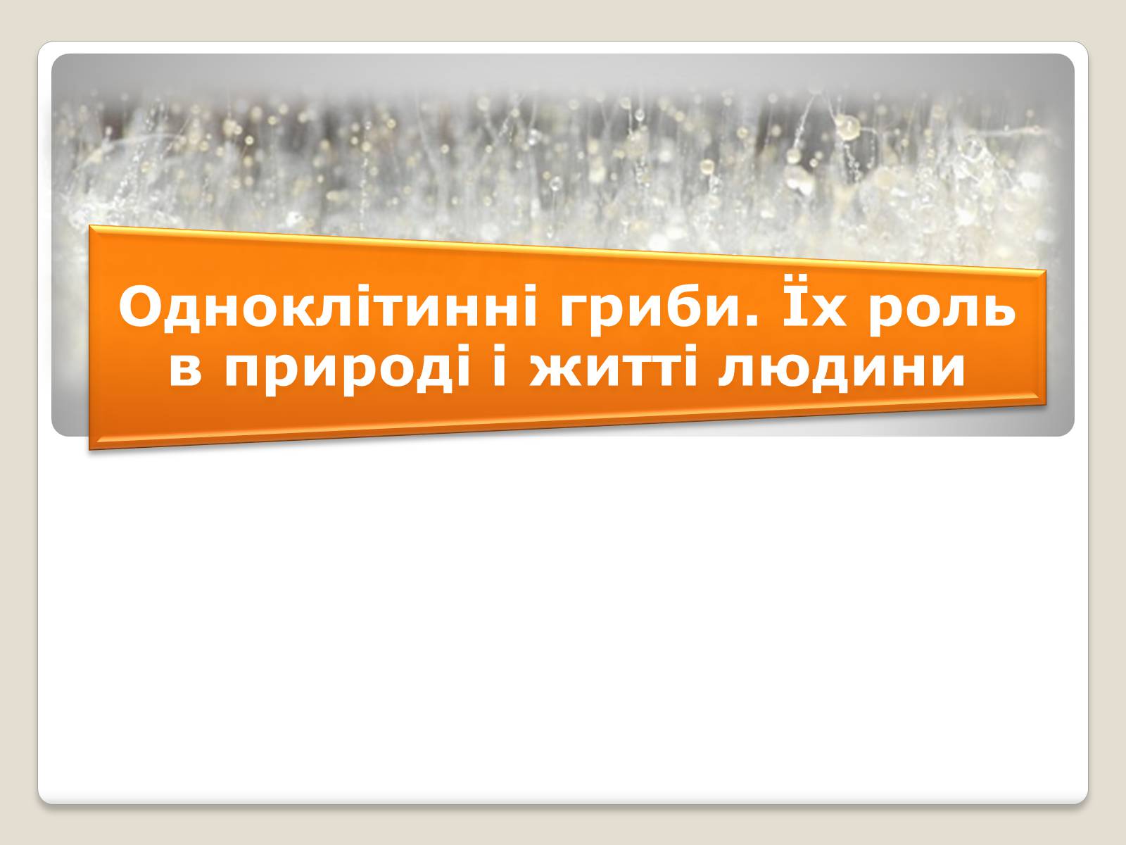 Презентація на тему «Одноклітинні гриби» - Слайд #1