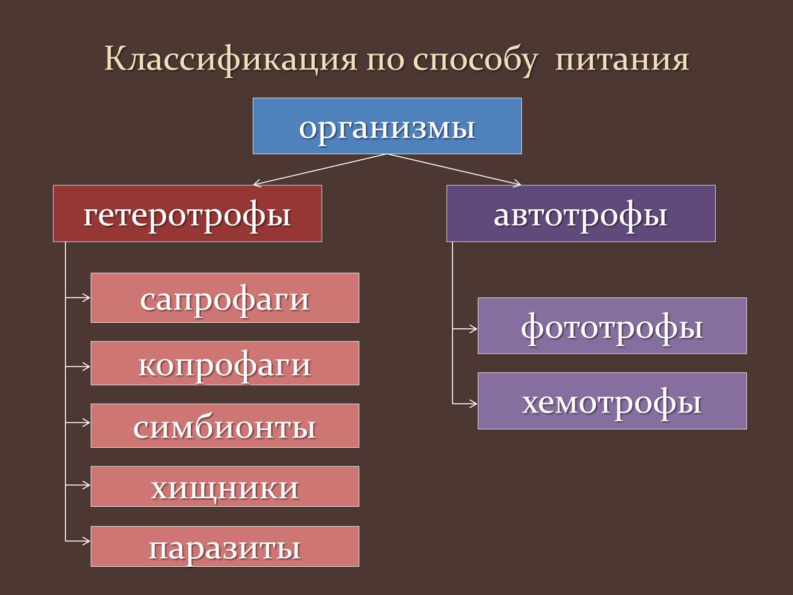 Презентація на тему «Метаболизм клетки» - шкільні презентації на  UA-BOOKS.com.ua