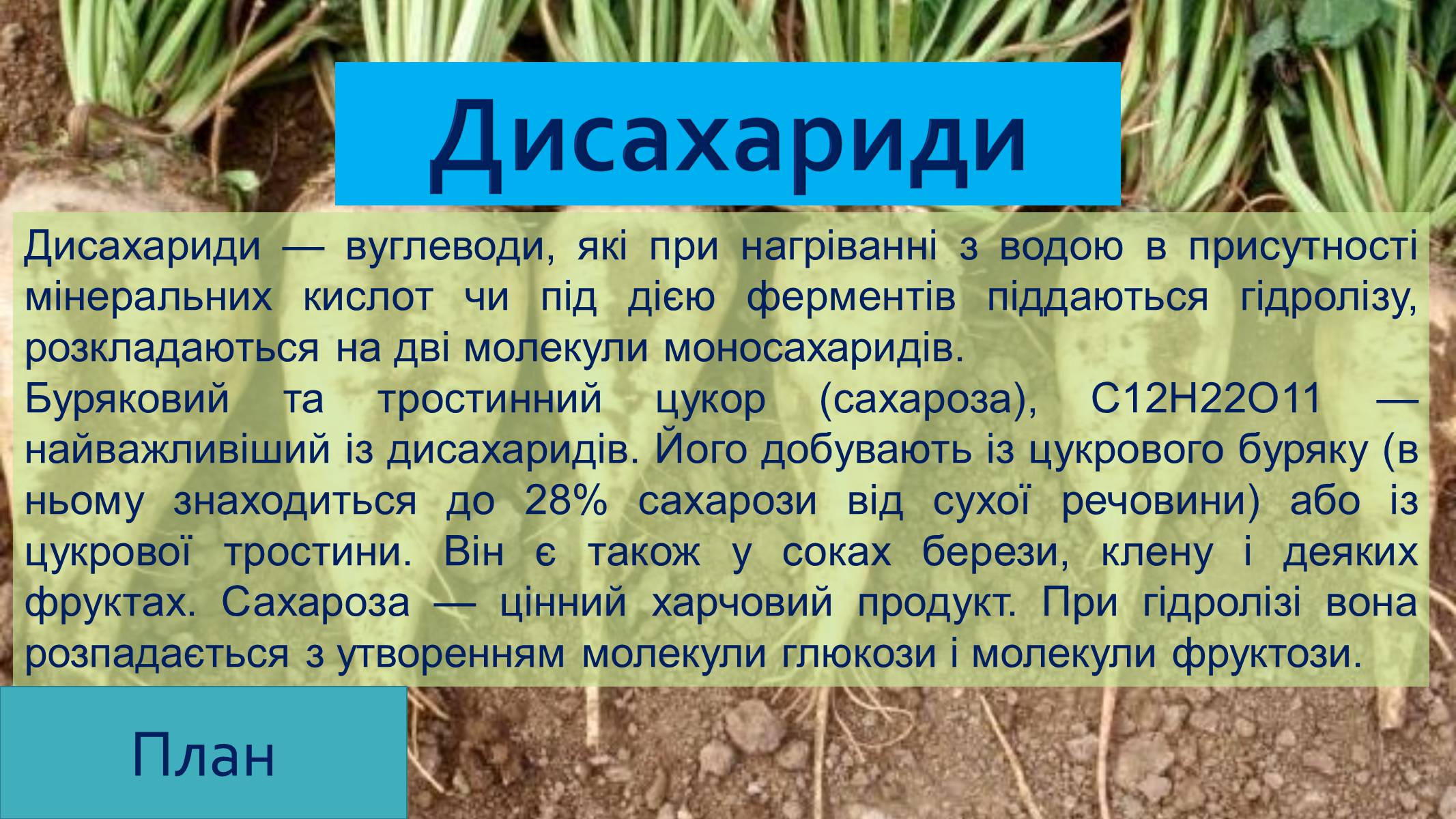 Презентація на тему «Вуглеводи як компоненти їжі, їх роль у житті людини» (варіант 25) - Слайд #10