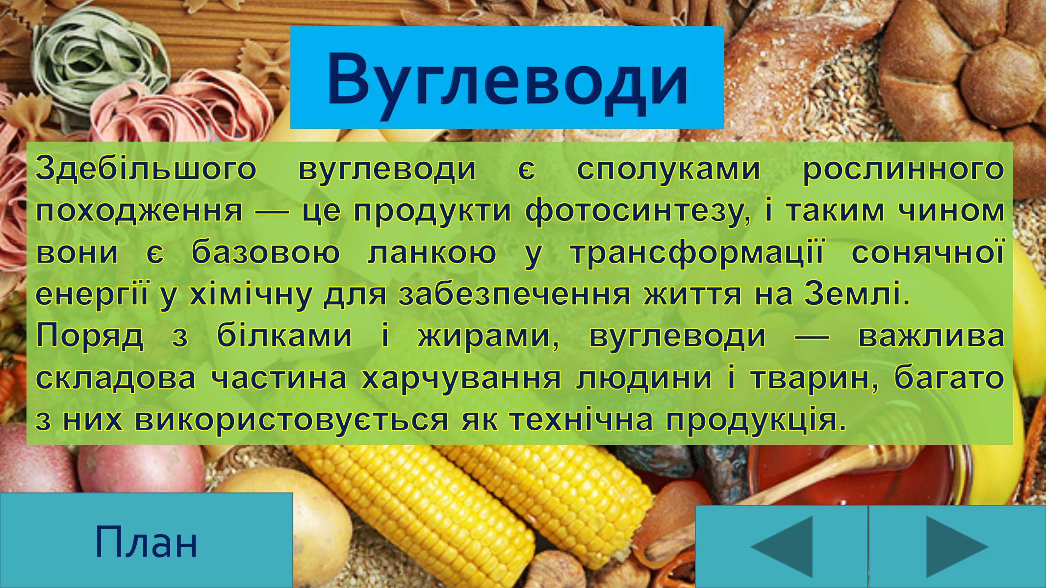 Презентація на тему «Вуглеводи як компоненти їжі, їх роль у житті людини» (варіант 25) - Слайд #4