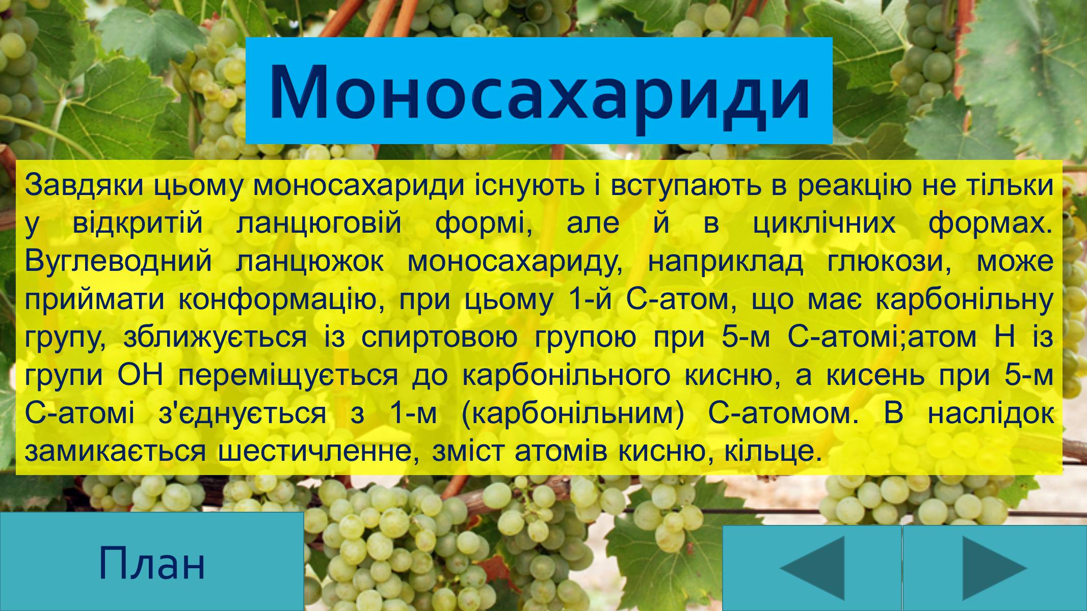 Презентація на тему «Вуглеводи як компоненти їжі, їх роль у житті людини» (варіант 25) - Слайд #8