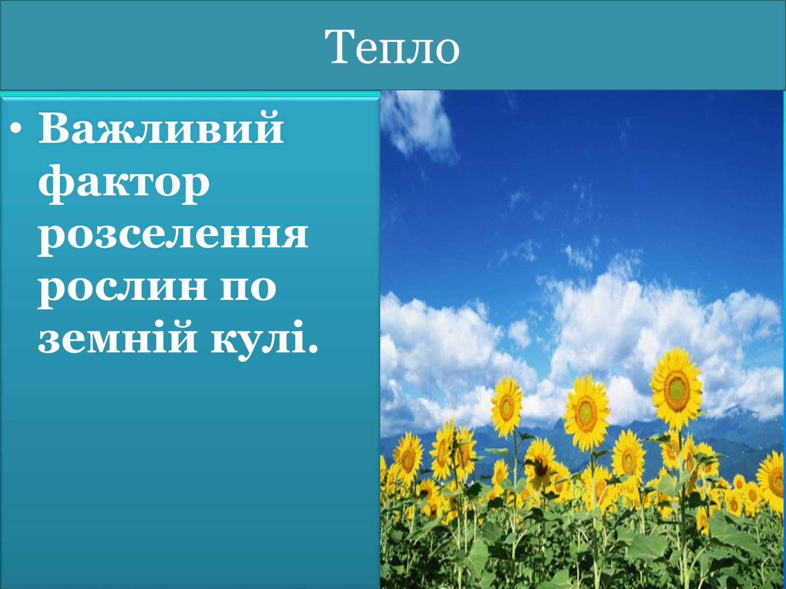 Презентація на тему «Рослина та абіотичні фактори» - Слайд #6