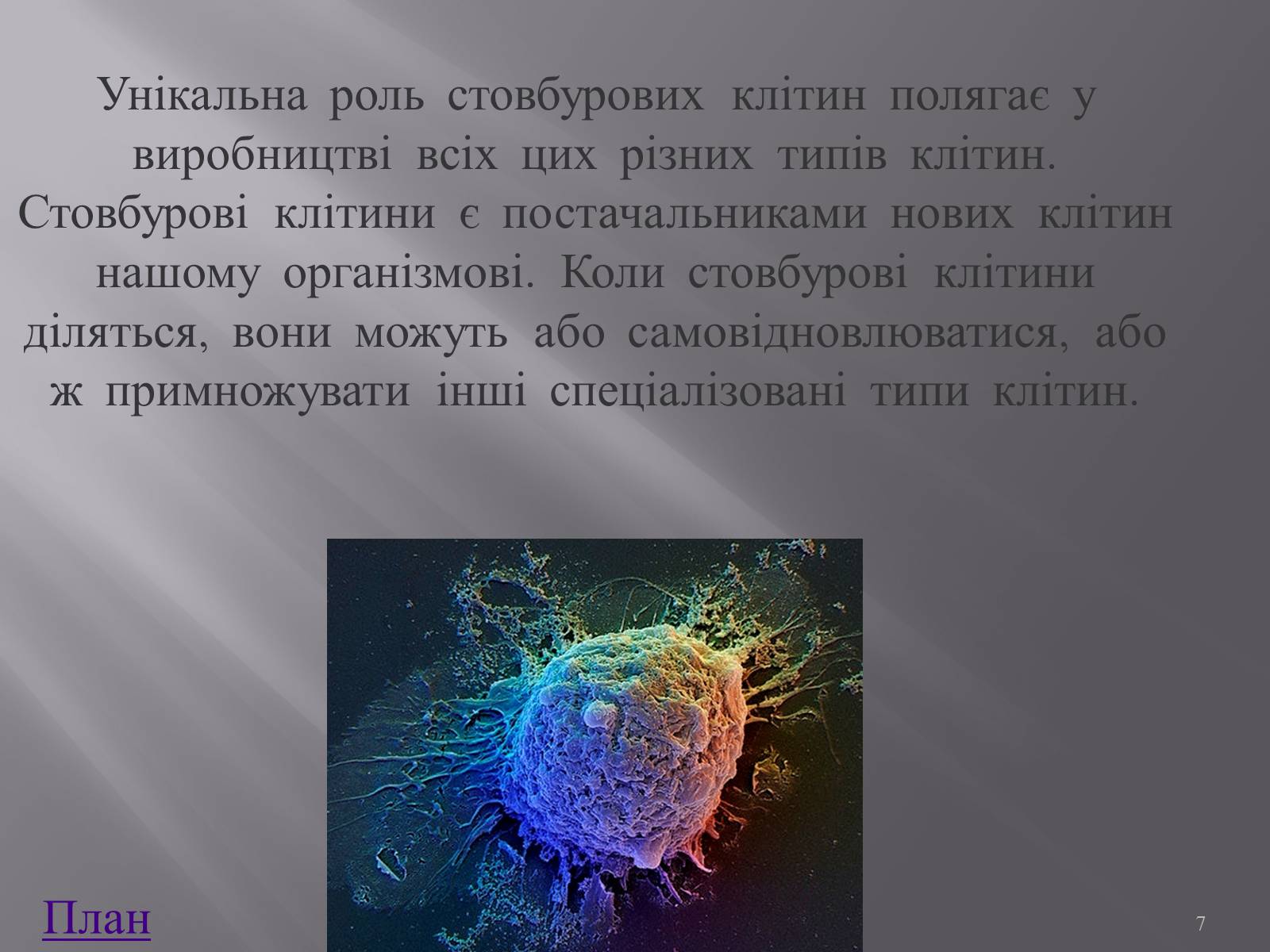 Презентація на тему «Клонування і ембріотехнології» (варіант 1) - Слайд #7