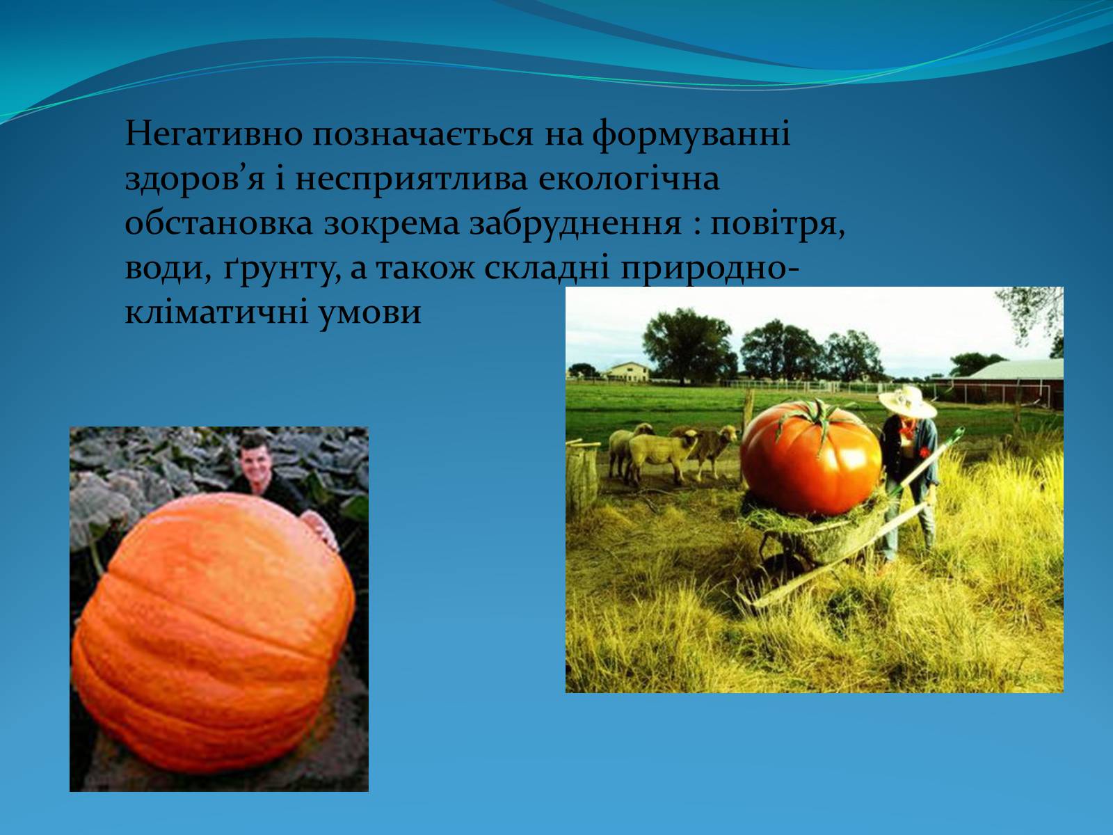 Презентація на тему «Вплив негативних факторів на Здоров&#8217;я людини» - Слайд #5