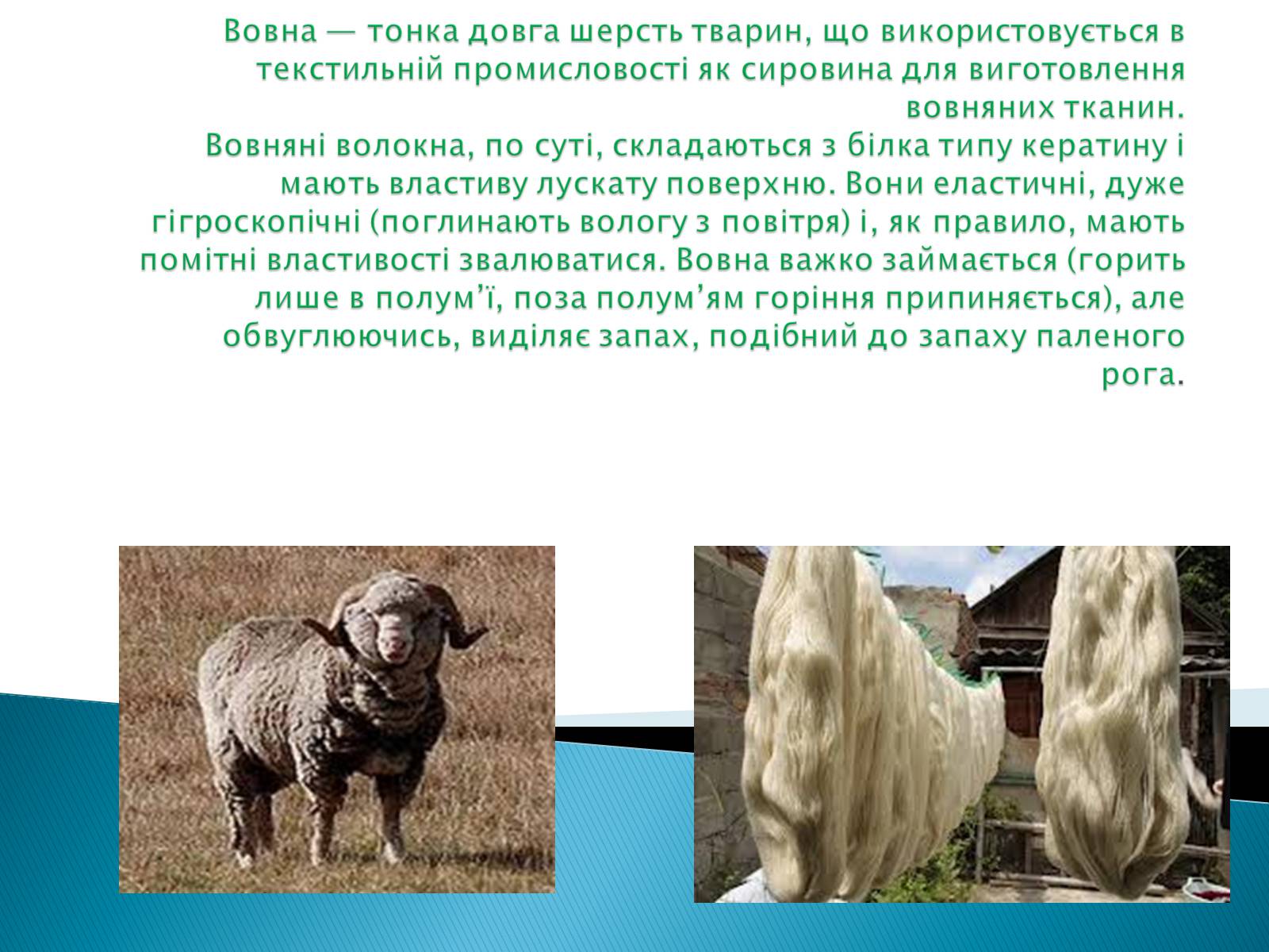 Презентація на тему «ПРИРОДНІ ВОЛОКНА» (варіант 2) - Слайд #12