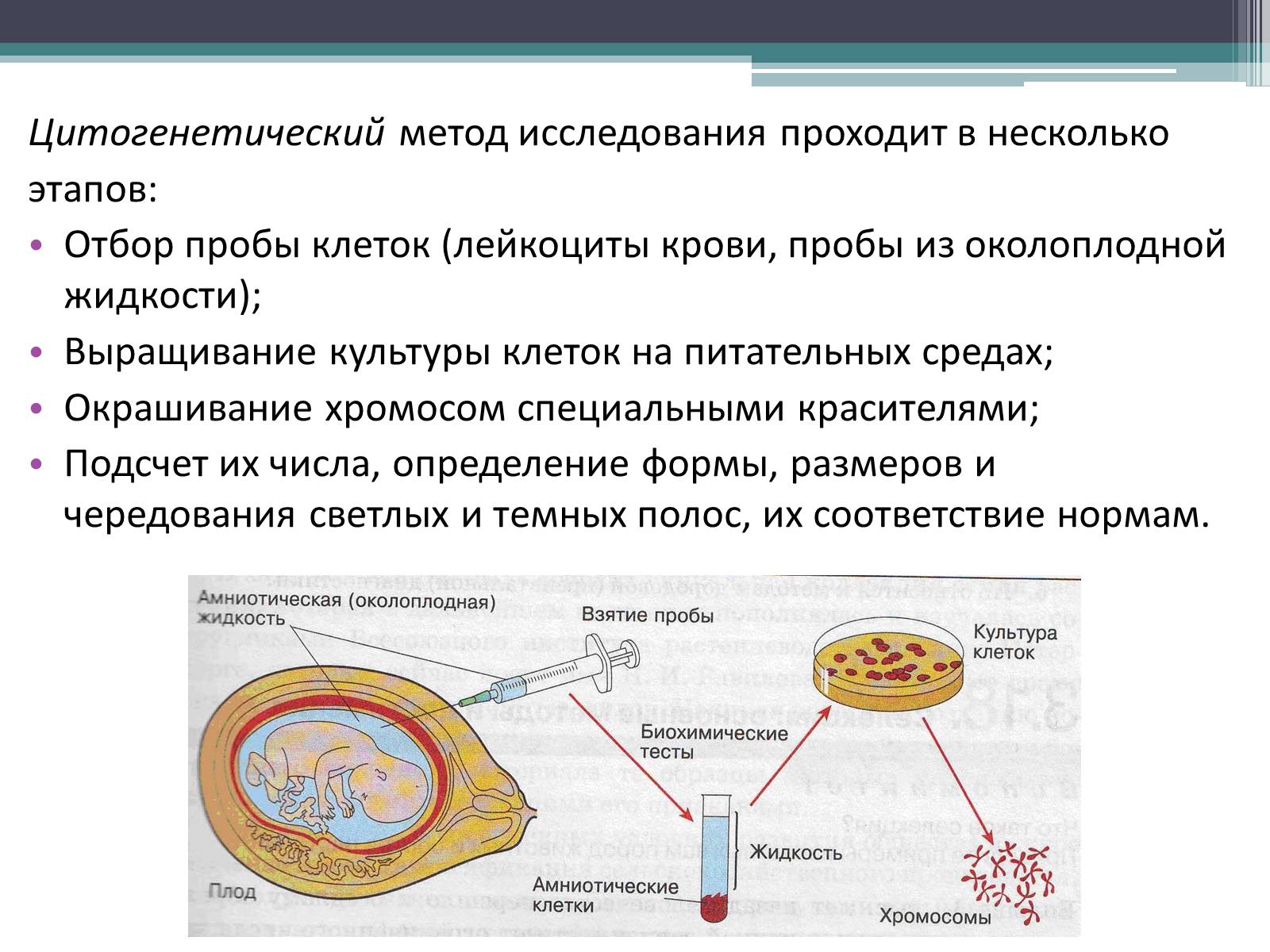 Наличие половый. Последовательность цитогенетического анализа. Этапы проведения цитогенетического анализа -кариотипирования. Цитогенетического метода исследования. Цитогенетический метод методика.