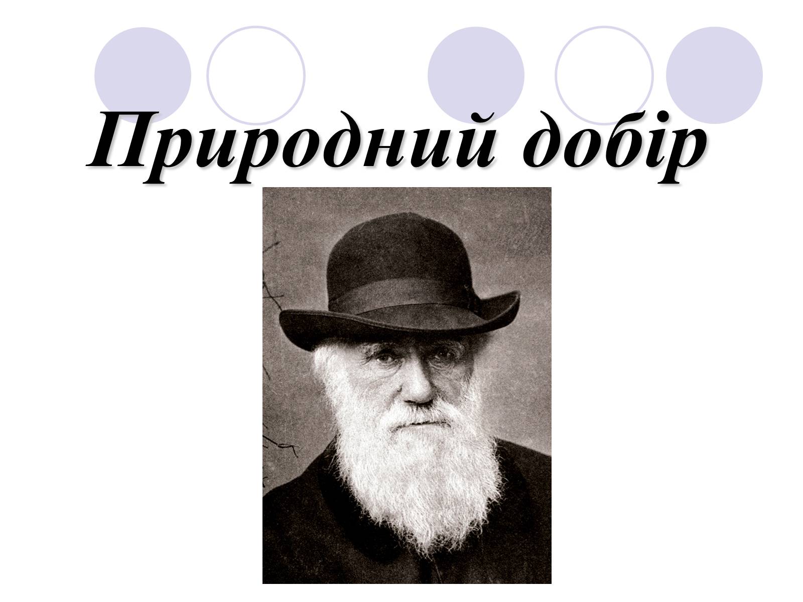 Презентація на тему «Природний добір» - Слайд #1