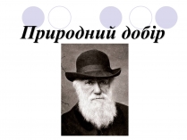 Презентація на тему «Природний добір»