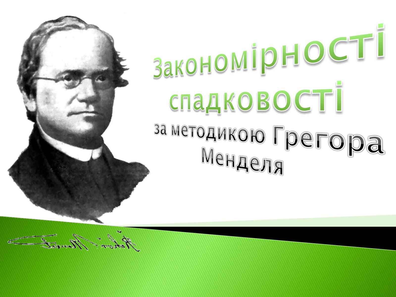 Презентація на тему «Закономірності спадковості за методикою Грегора Менделя» - Слайд #1