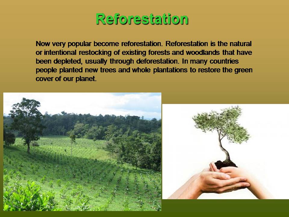 Презентація на тему «Deforestation» (варіант 2) - Слайд #13