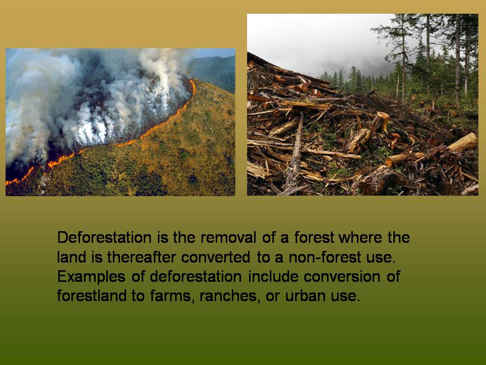 Презентація на тему «Deforestation» (варіант 2) - Слайд #2