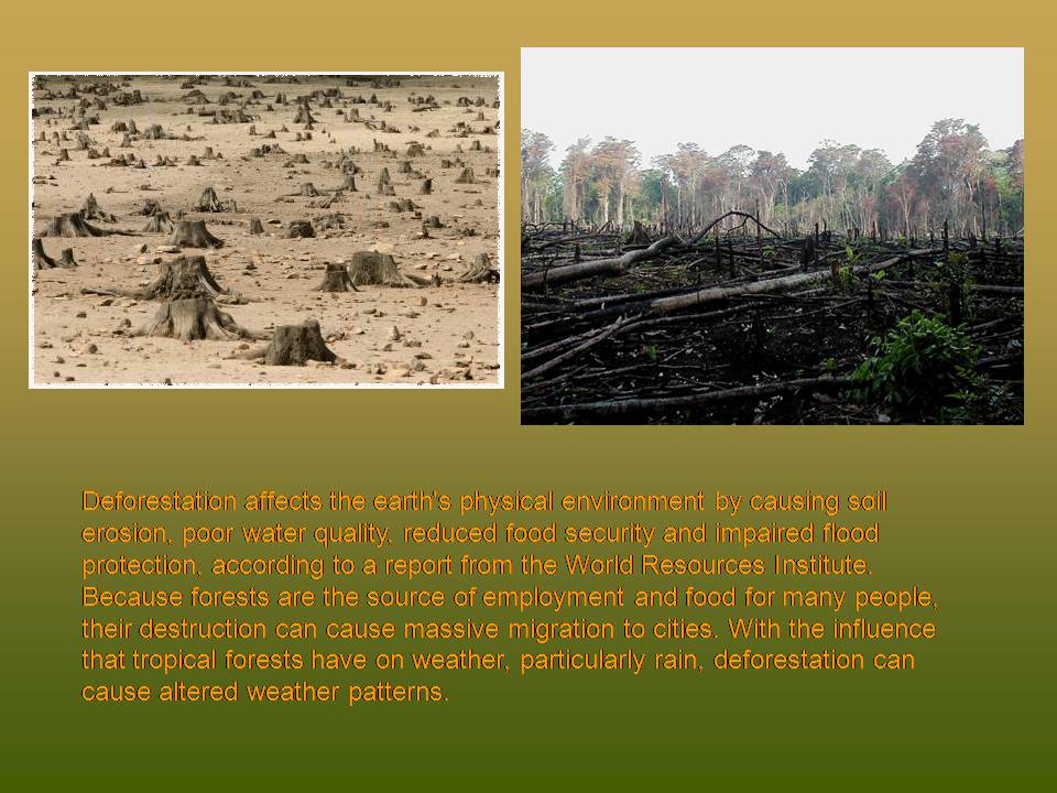 Презентація на тему «Deforestation» (варіант 2) - Слайд #5