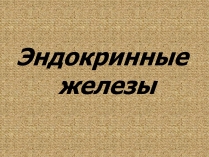 Презентація на тему «Эндокринные железы»