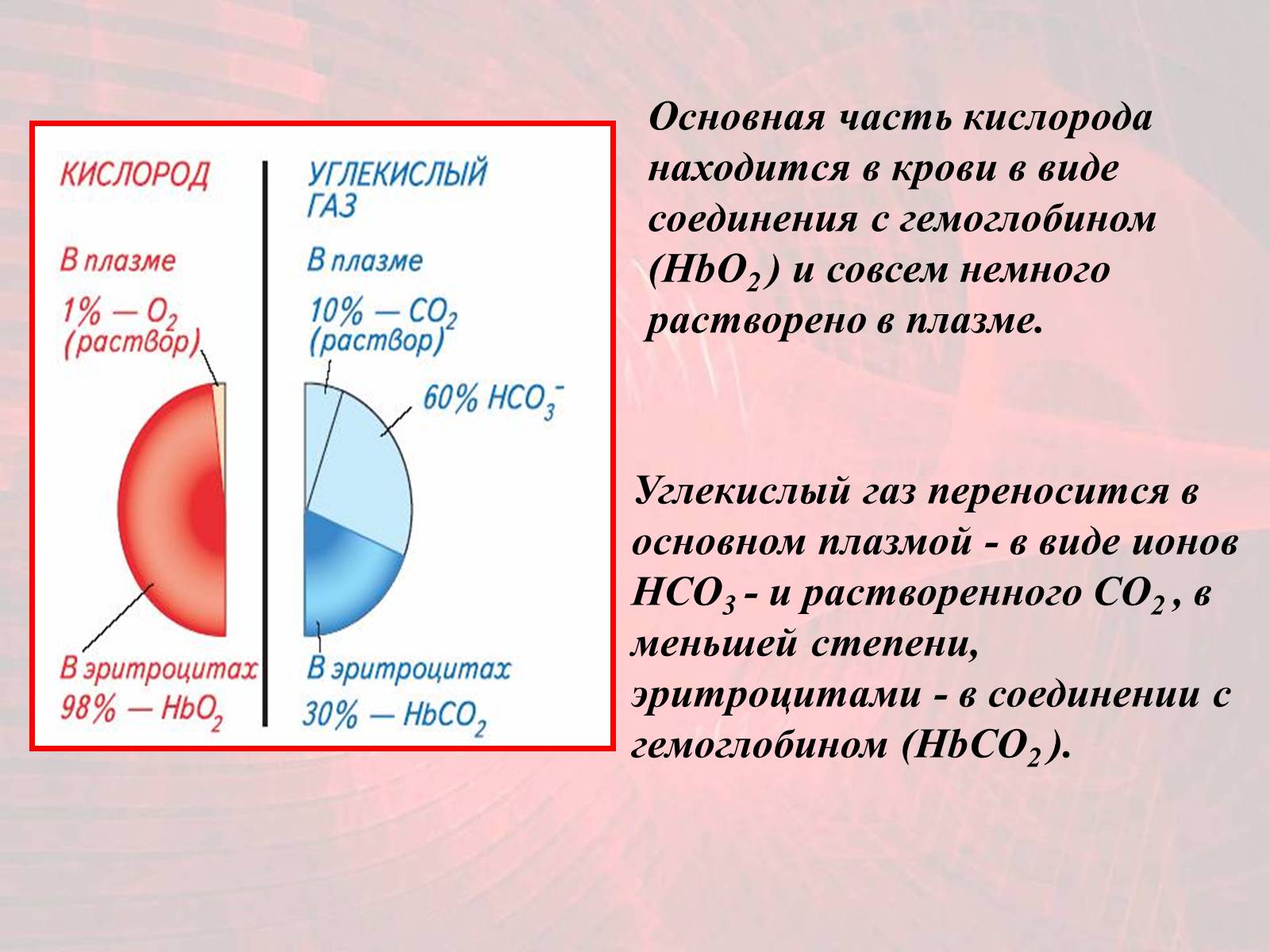 Презентація на тему «Газообмен в лёгких и тканях» - Слайд #11