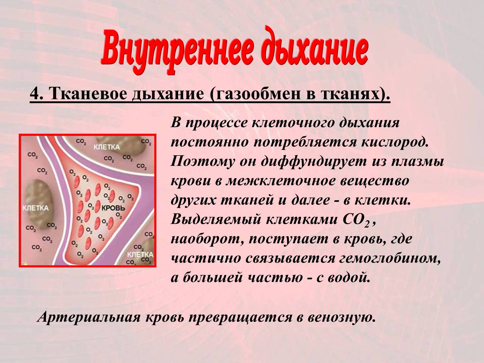 Презентація на тему «Газообмен в лёгких и тканях» - Слайд #14