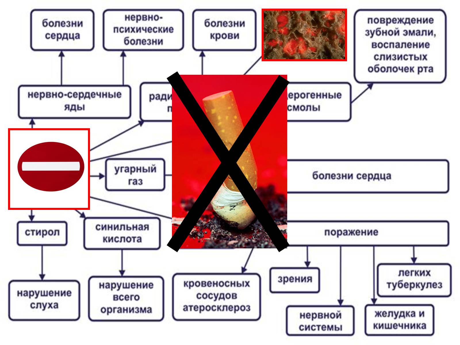 Презентація на тему «Газообмен в лёгких и тканях» - Слайд #19