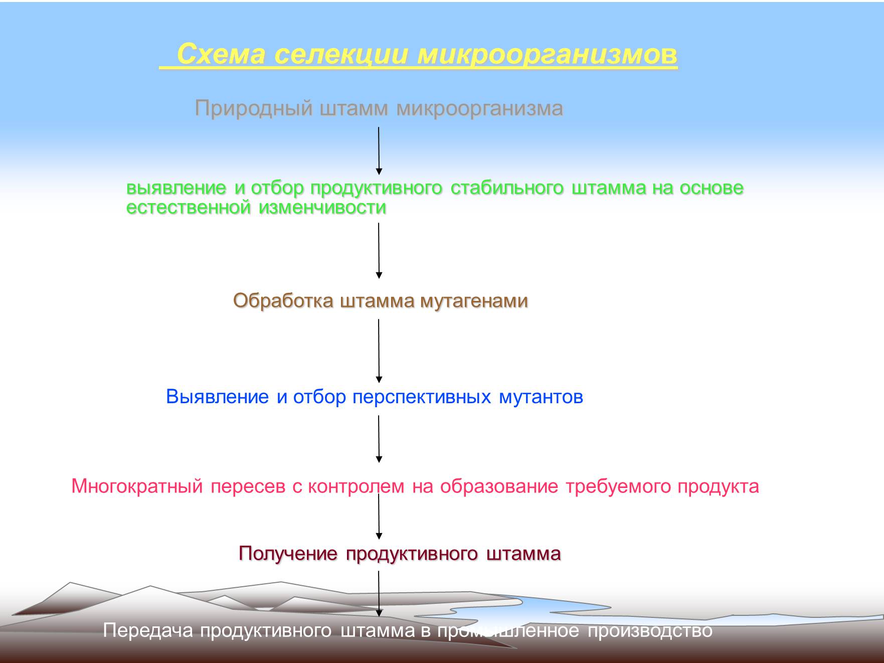 Презентація на тему «Современные методы селекции» - Слайд #8