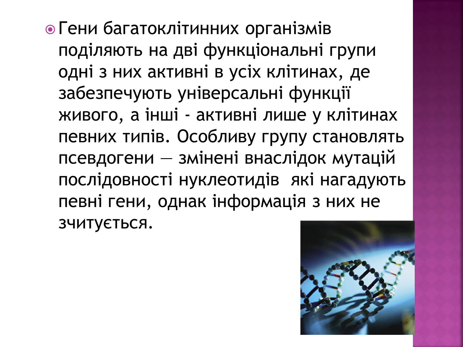 Презентація на тему «Основні закономірності функціонування генів у про – та еукаріотів» (варіант 2) - Слайд #15