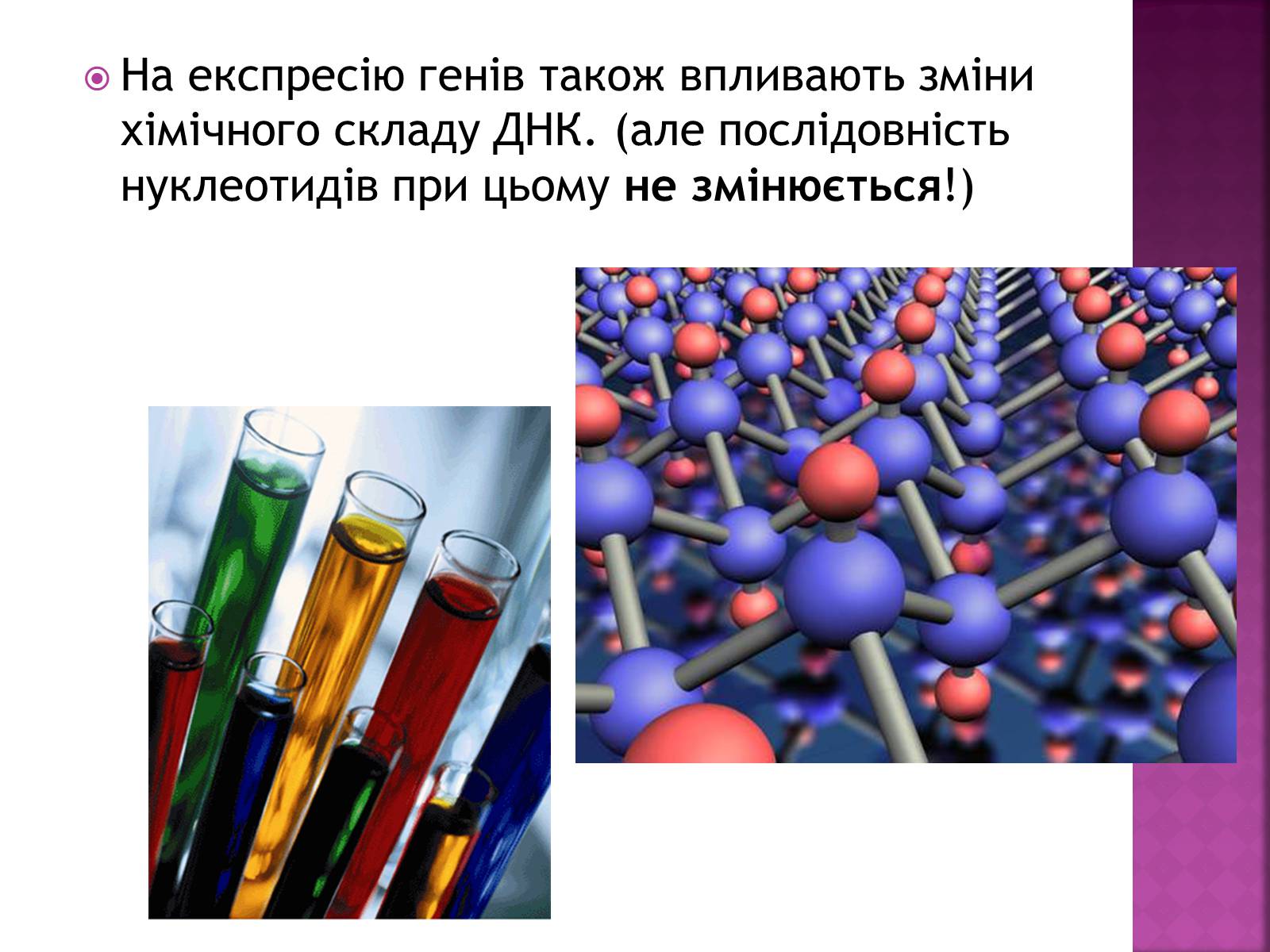 Презентація на тему «Основні закономірності функціонування генів у про – та еукаріотів» (варіант 2) - Слайд #21