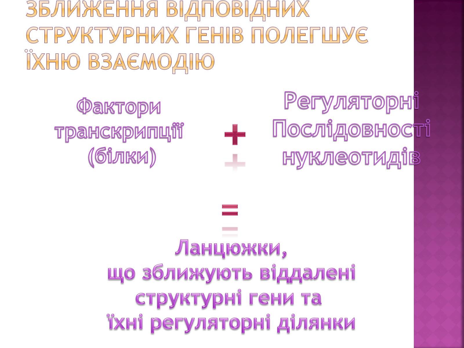 Презентація на тему «Основні закономірності функціонування генів у про – та еукаріотів» (варіант 2) - Слайд #22