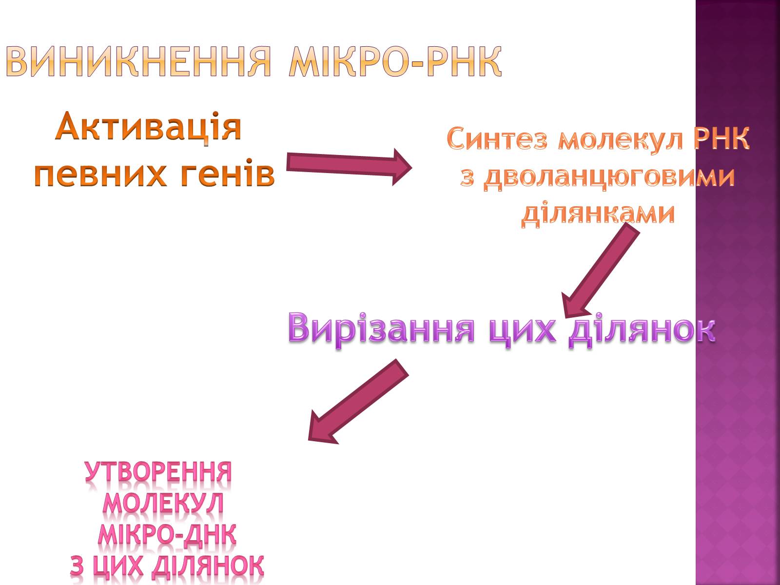 Презентація на тему «Основні закономірності функціонування генів у про – та еукаріотів» (варіант 2) - Слайд #25