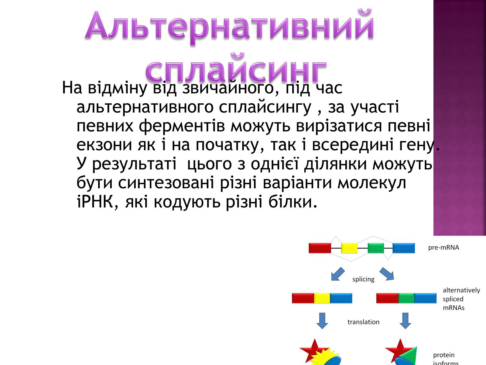 Презентація на тему «Основні закономірності функціонування генів у про – та еукаріотів» (варіант 2) - Слайд #31