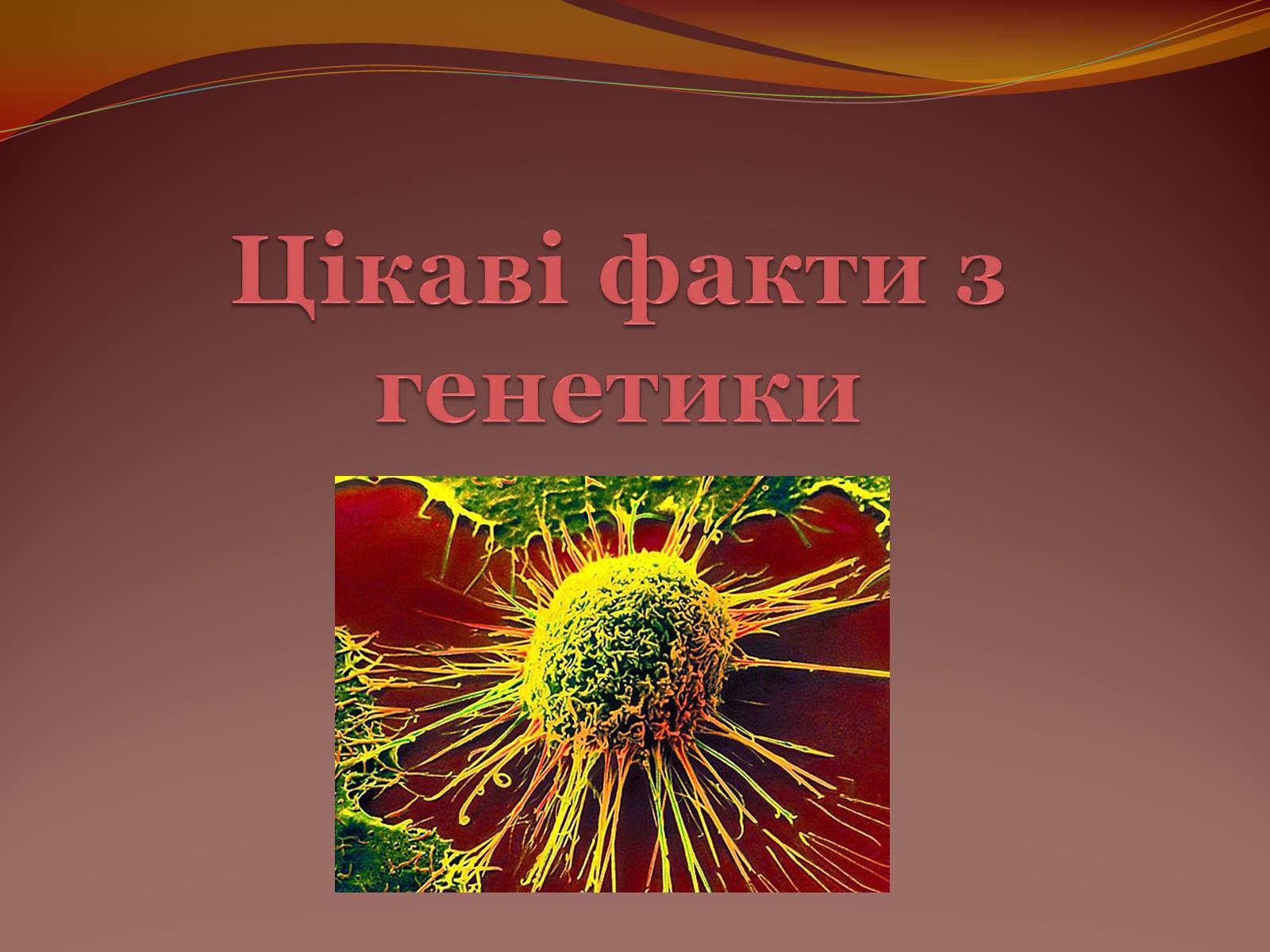 Презентація на тему «Цікаві факти з генетики» - Слайд #1