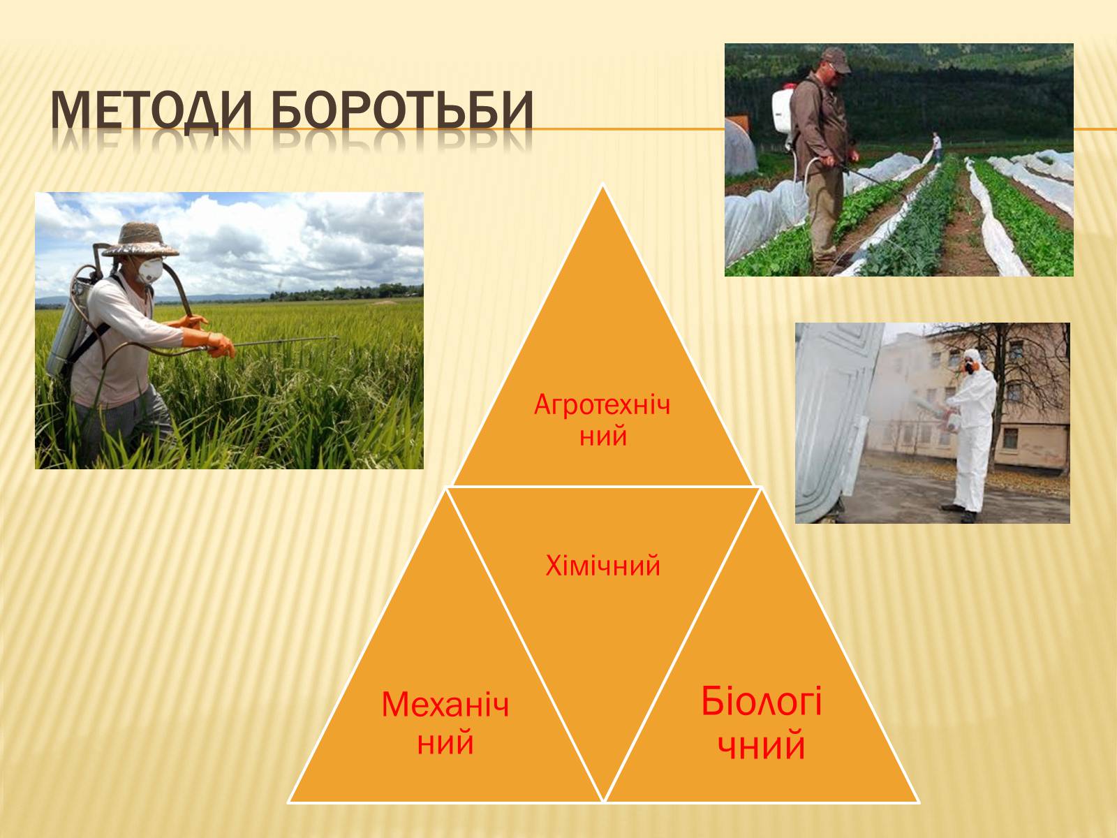 Презентація на тему «Біологічні методи боротьби зі шкідниками» - Слайд #3