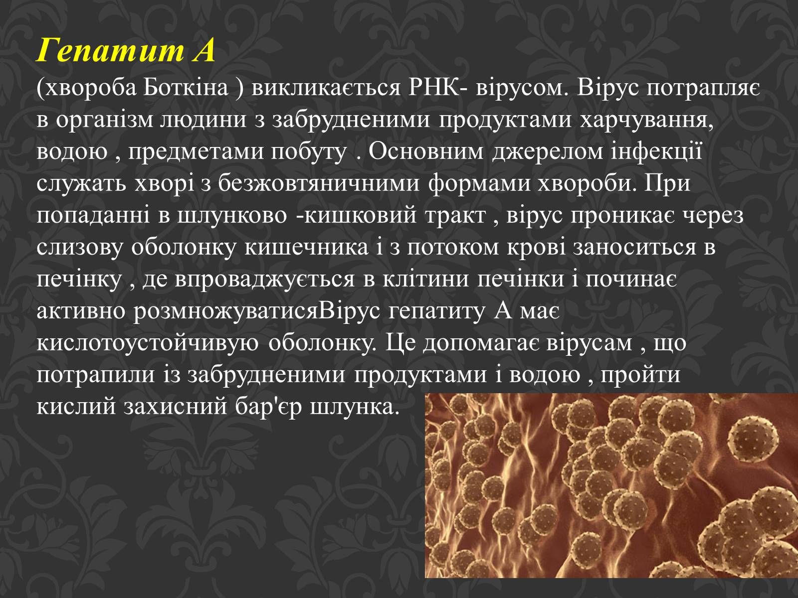 Презентація на тему «Гепатит» (варіант 3) - Слайд #4