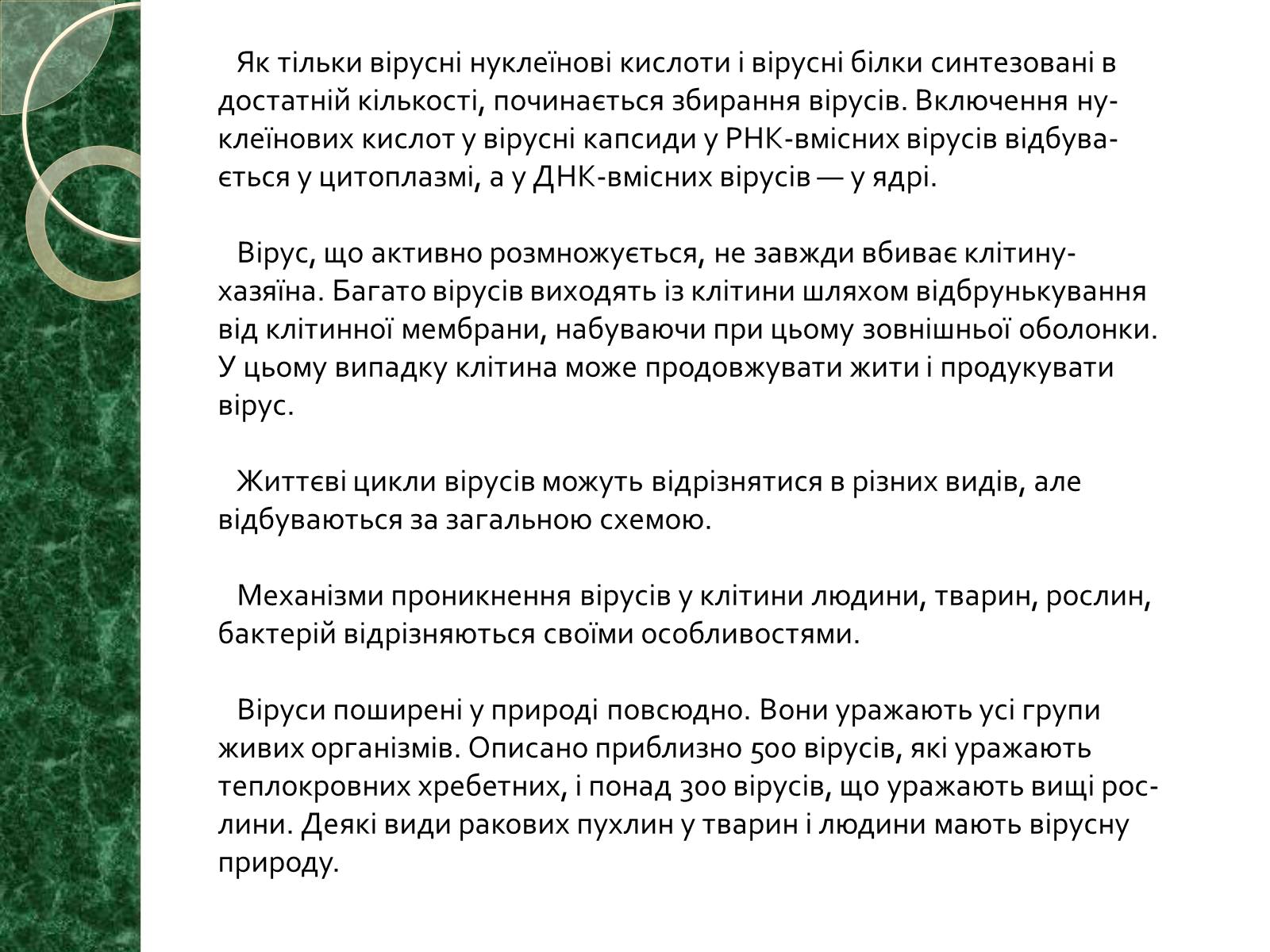 Презентація на тему «Віруси» (варіант 15) - Слайд #13