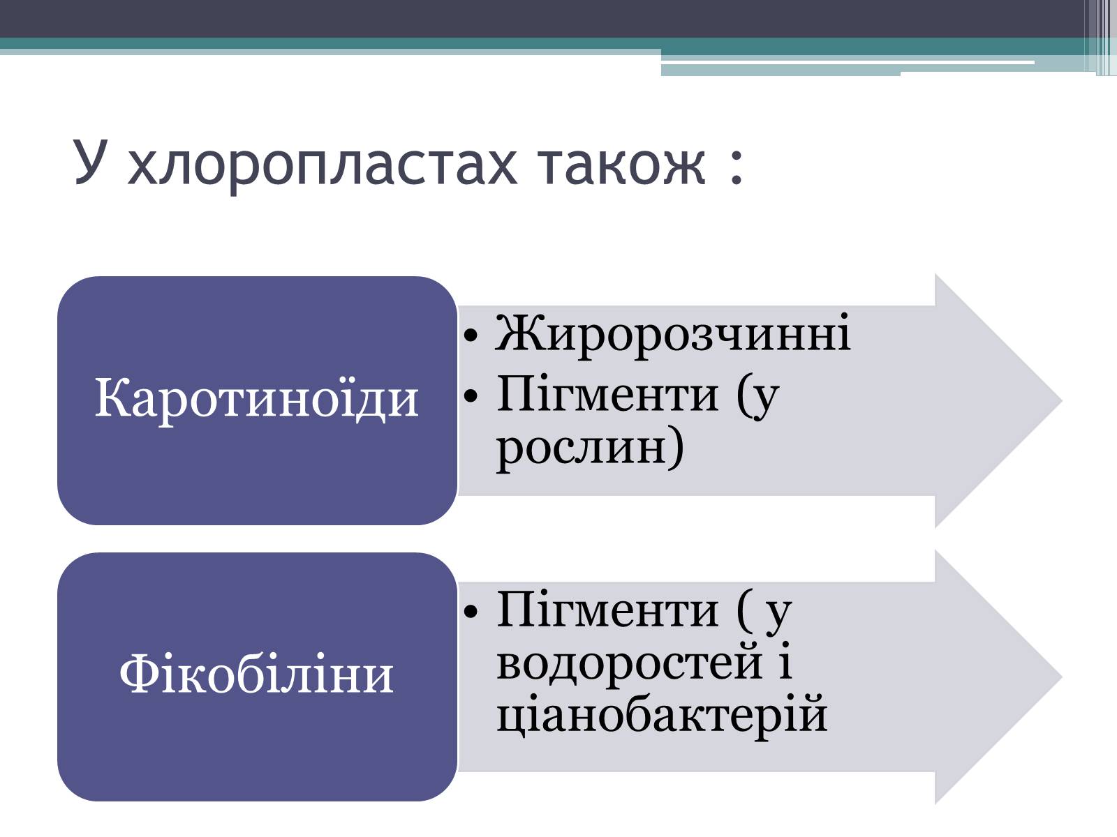 Презентація на тему «Фотосинтез» (варіант 2) - Слайд #5