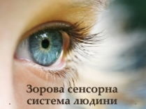 Презентація на тему «Зорова сенсорна система людини»