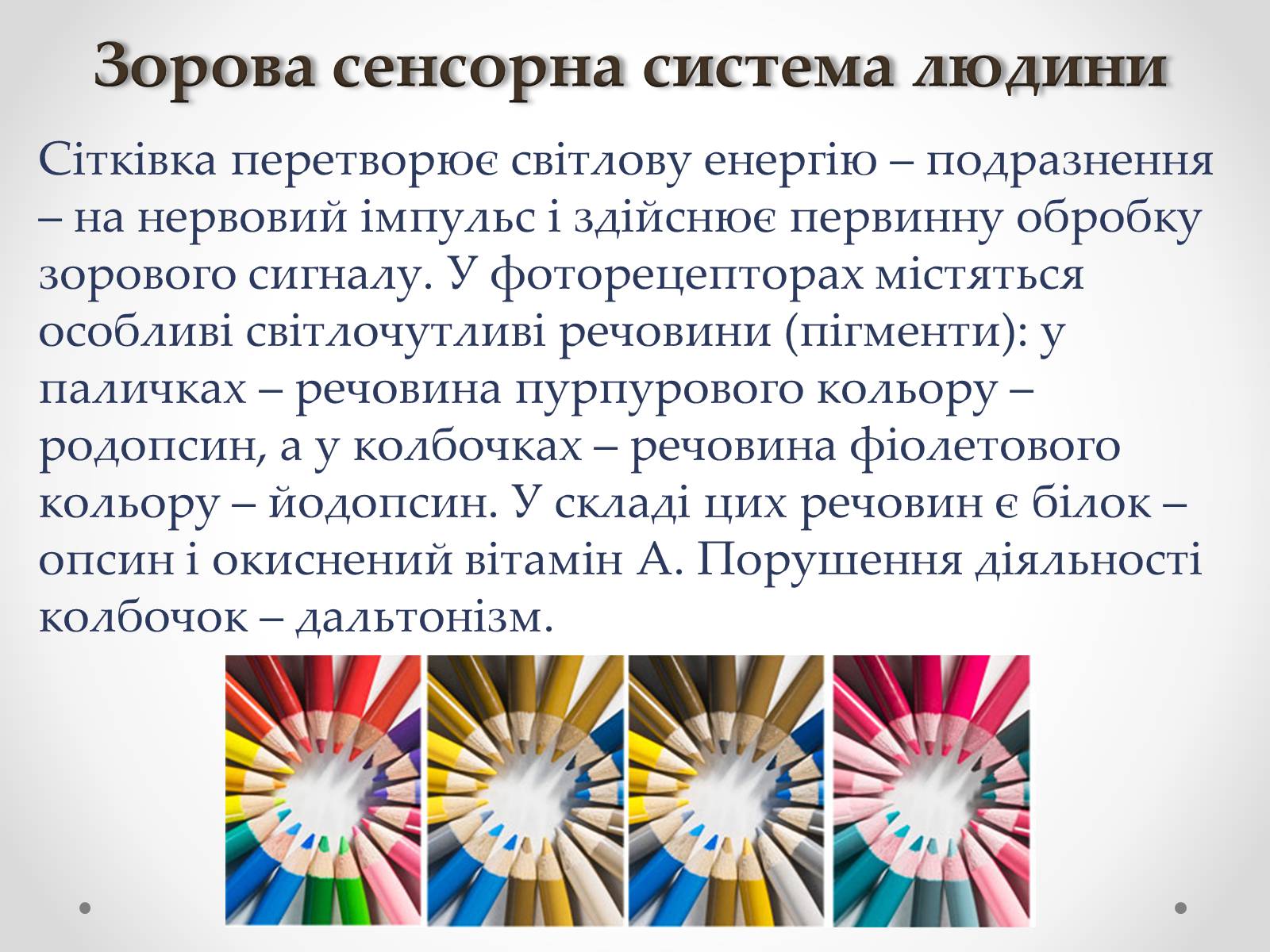 Презентація на тему «Зорова сенсорна система людини» - Слайд #11