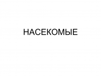 Презентація на тему «Насекомые» (варіант 2)