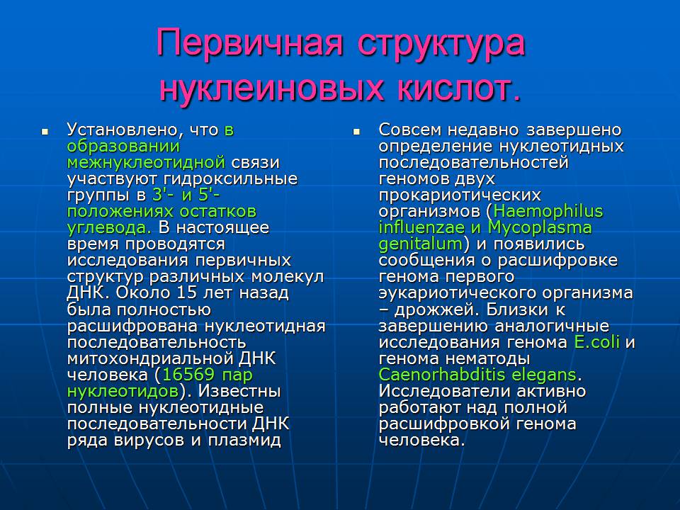 Презентація на тему «ДНК» (варіант 3) - Слайд #10