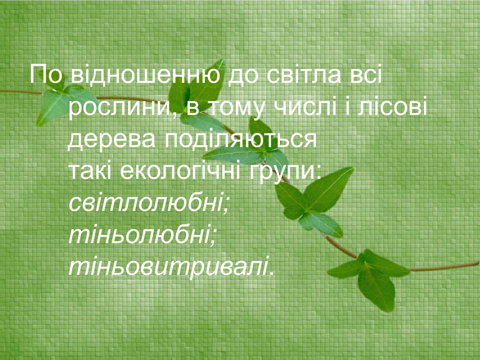 Презентація на тему «Класифікація рослин по відношенню до світла» - Слайд #2