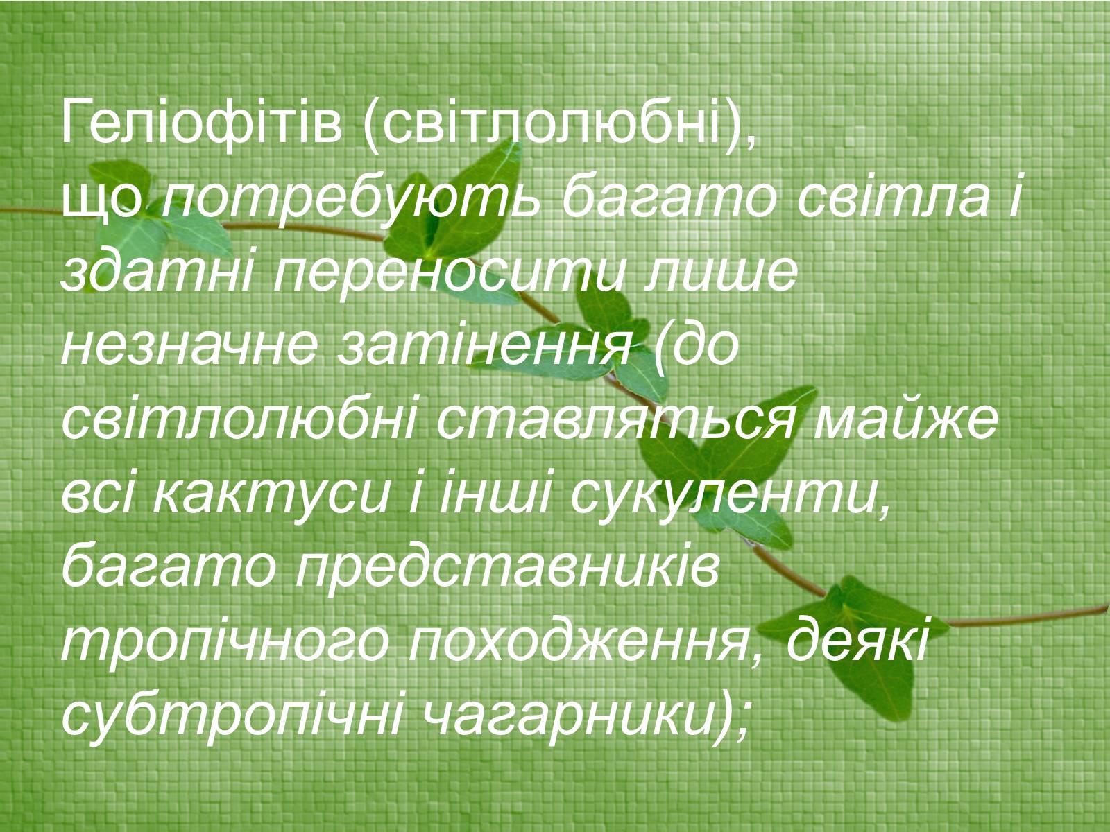 Презентація на тему «Класифікація рослин по відношенню до світла» - Слайд #3