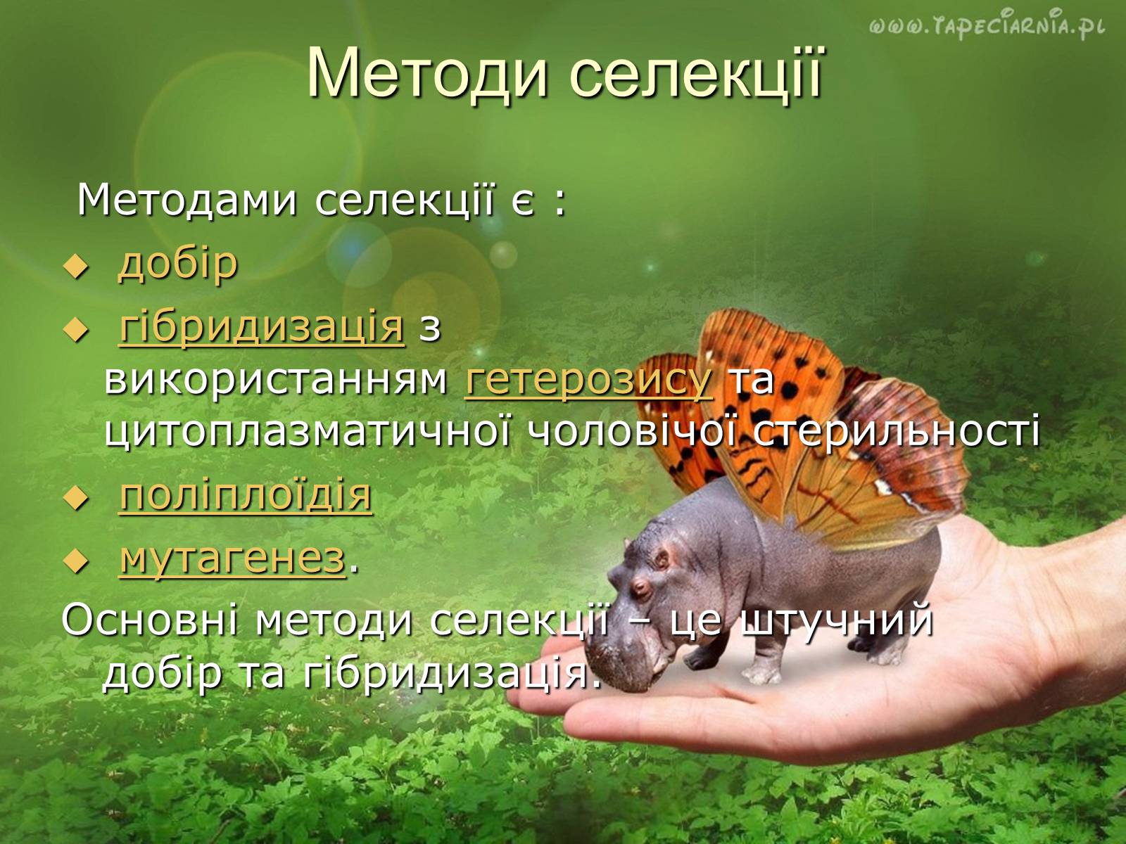 Презентація на тему «Основні поняття про селекції організмів» - Слайд #5