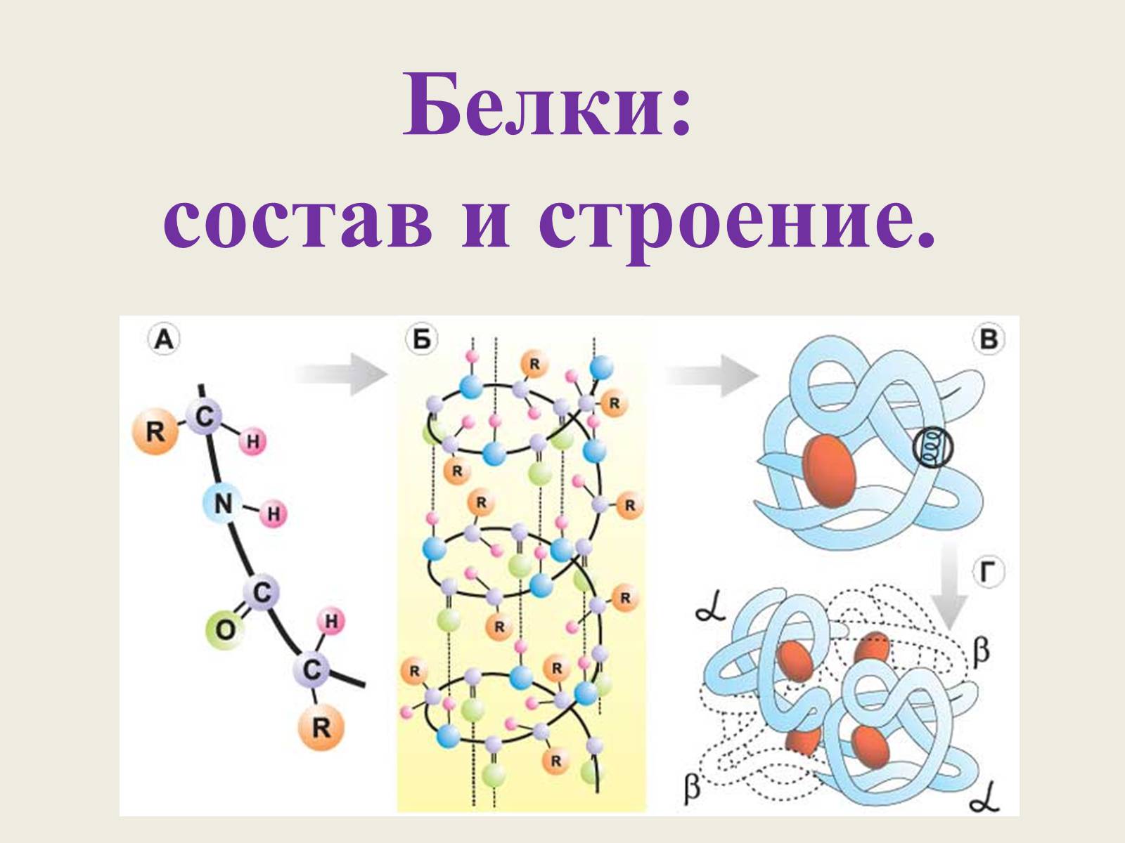 Презентація на тему «Белки: состав и строение» - Слайд #2