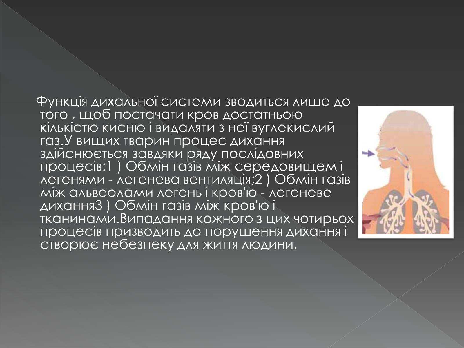 Презентація на тему «Види професійних захворювань органів дихання» - Слайд #5