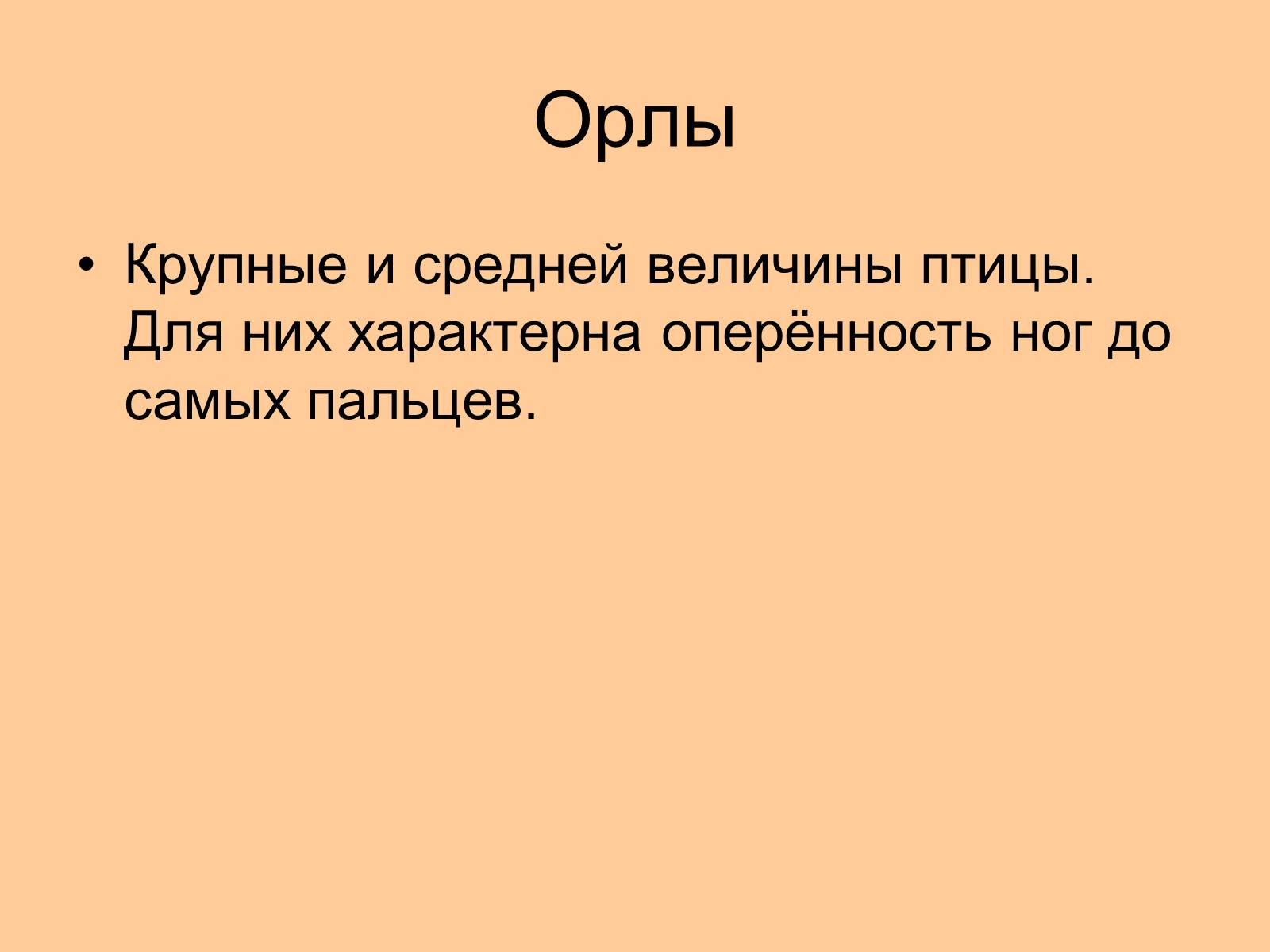 Презентація на тему «Отряд Хищные птицы» - Слайд #14