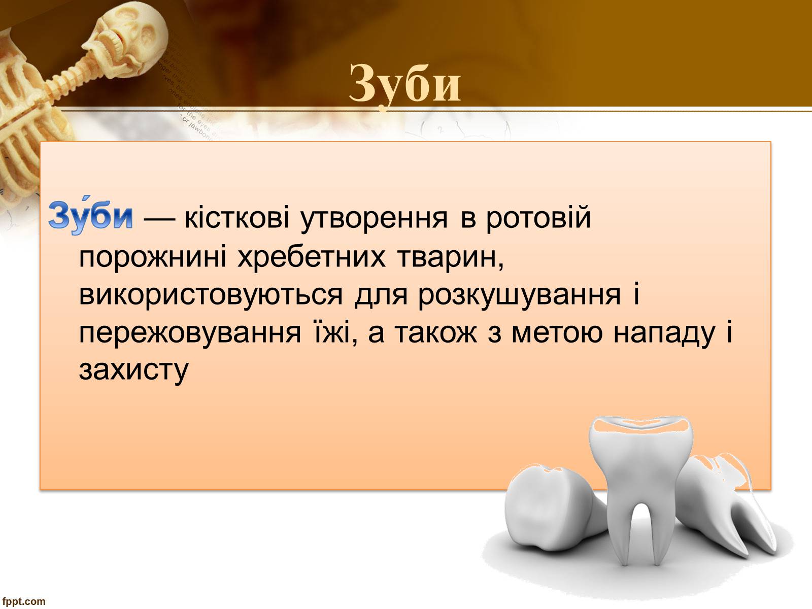 Презентація на тему «Бережіть свої зуби» - Слайд #2