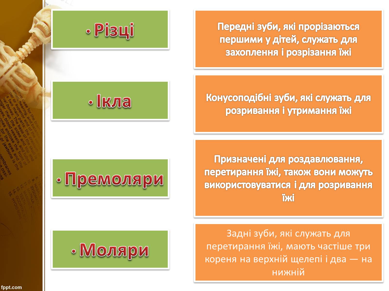 Презентація на тему «Бережіть свої зуби» - Слайд #6