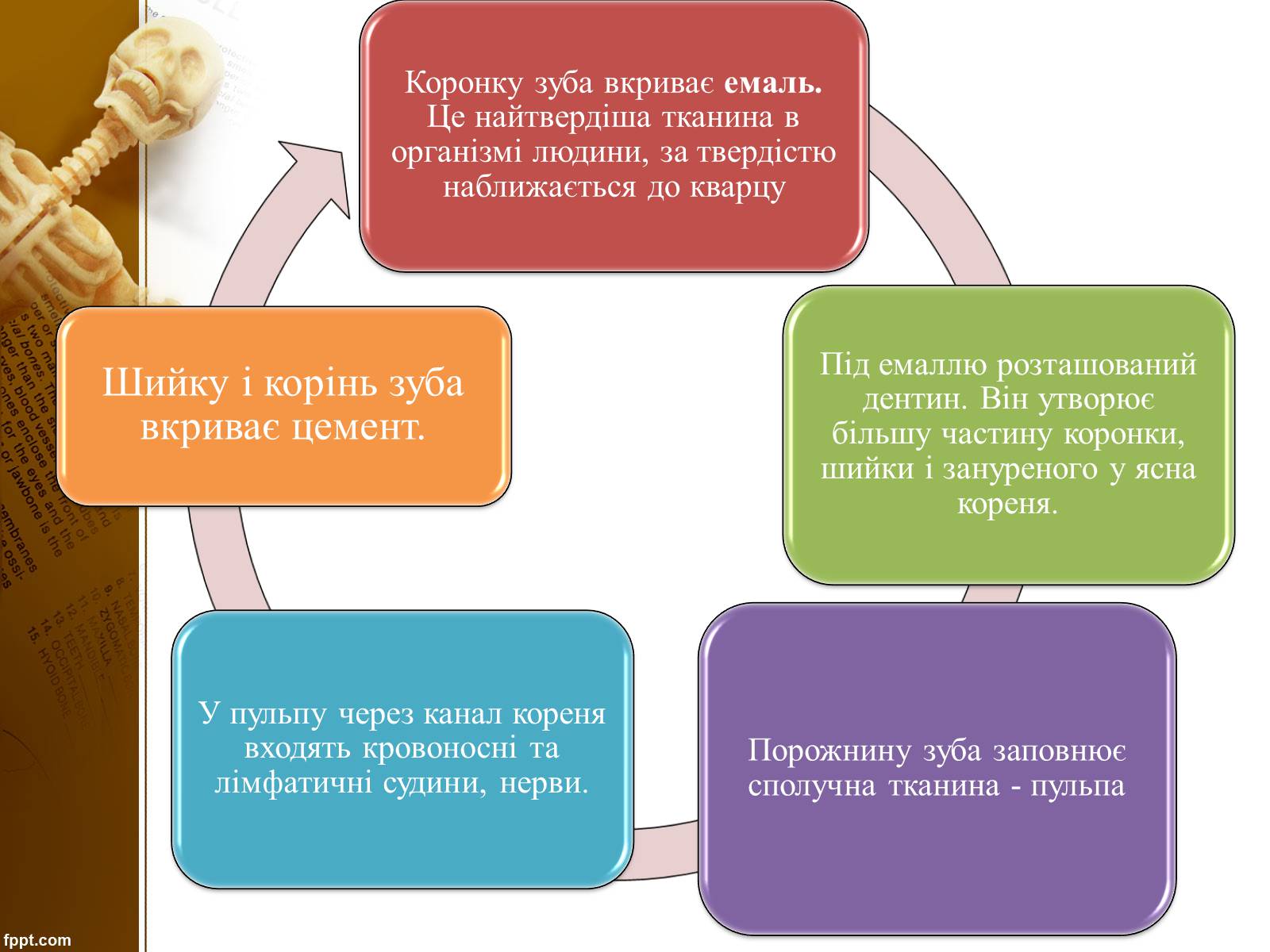 Презентація на тему «Бережіть свої зуби» - Слайд #8