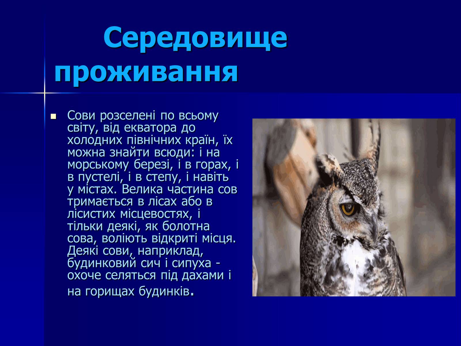 Презентація на тему «Совоподібні» (варіант 2) - Слайд #5