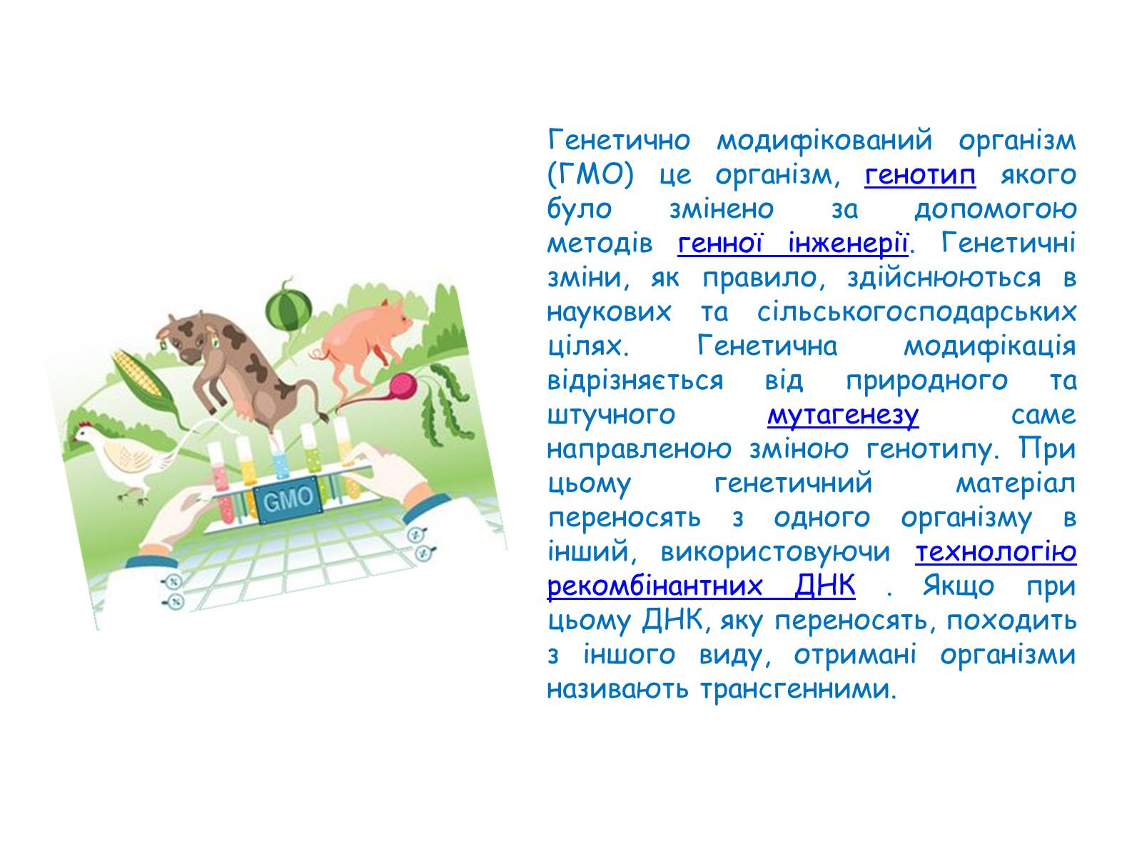 Презентація на тему «Генетично модифіковані організми» (варіант 2) - Слайд #2